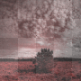 Animated sky cloud way road fantasy
