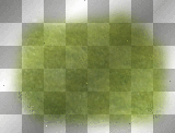 grass ©zαηєѕѕα155ⓡ