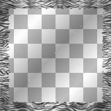 zebra animal print border frame
