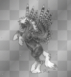 xx Black and white Pegasus xx
