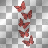 butterfly scrap deco transparent red [1ֆ]