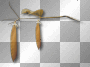 Deco brown leaf 