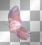 butterfly scrap deco transparent pink [1ֆ]