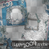 2009 freebie 