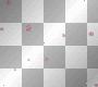 flower pink scrap deco transparent [1ֆ]