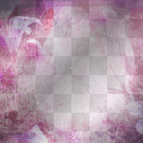 Pink Flower Background