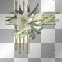 gold corner frame white flower floral pattern/²u