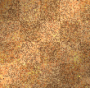 Background.orange.