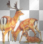 animals ,deer,dubravka animals ,deer,dubravka