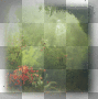 transparent paysage dubravka transparent paysage dubravka