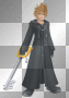 roxas