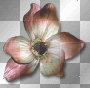 Flower vintage 