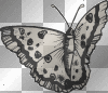 sweet black butterfly emo goth/²u