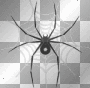 black spider spiderweb emo goth/²u