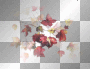 red yellow leaves autumn. fall leaf background/²u