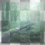 Forest landscape transparent [nermai]