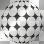 Circle black white animated
