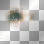 Eyes