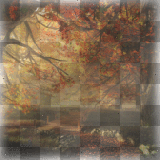 Autumn Tree { LANDSCAPE. BG. FALL. © Stars1994