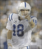 colts