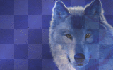 Blue Wolf (by Kitcat)