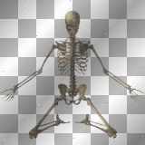 Skeletons