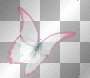 Cute Buterfly beautiful_pretty blue deco fantasy  frame pink  transparent vintage white 