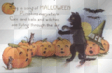 happy halloween  by  angie