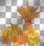 pumpkins, wheat and corn