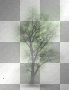 AJESIEN AUTUMN FALL BACKGROUND GREEN TREE