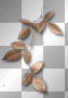 Leaves brown Leaves brown