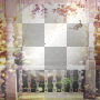 Background summer autumn fall 