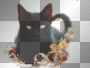 HERBST CAT AUTUMN LEAVES ANIMALS