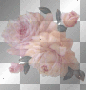 flor sin tallo rossi_61