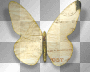 Paper butterfly
