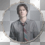 Ian Somerhalder (Damon Salvatore on The Vampire Diaries and Boone in Lost picture) [nermai]