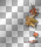 Leaves border 