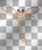 Animated Orange Dragonfly