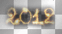 new year -loly-
