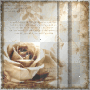 Animated background vintage paper flower rose