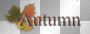 Autumn word wordart text leaf