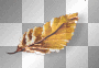 Leaf orange Leaf orange