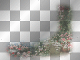 garden image dubravka
