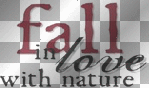 AJESIEN AUTUMN FALL TRANSPARENT DECO TEXT