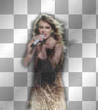 Taylor Swift Speak Now Concert