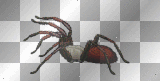 SPIDER HALLOWEEN GOTHIC GOTH SPINNE