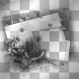 Frame vintage black white 