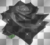 Black Rose Flower Stars Sparkle Goth_