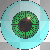 Un oeil