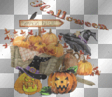 halloween pumpkin patch